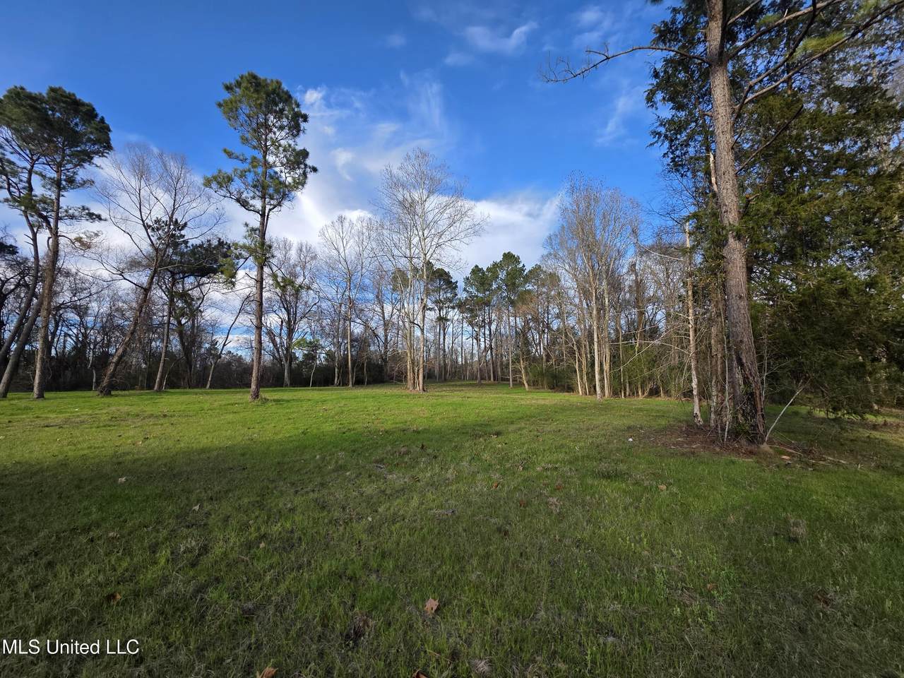 753 Old Highway 84 - Photo 1