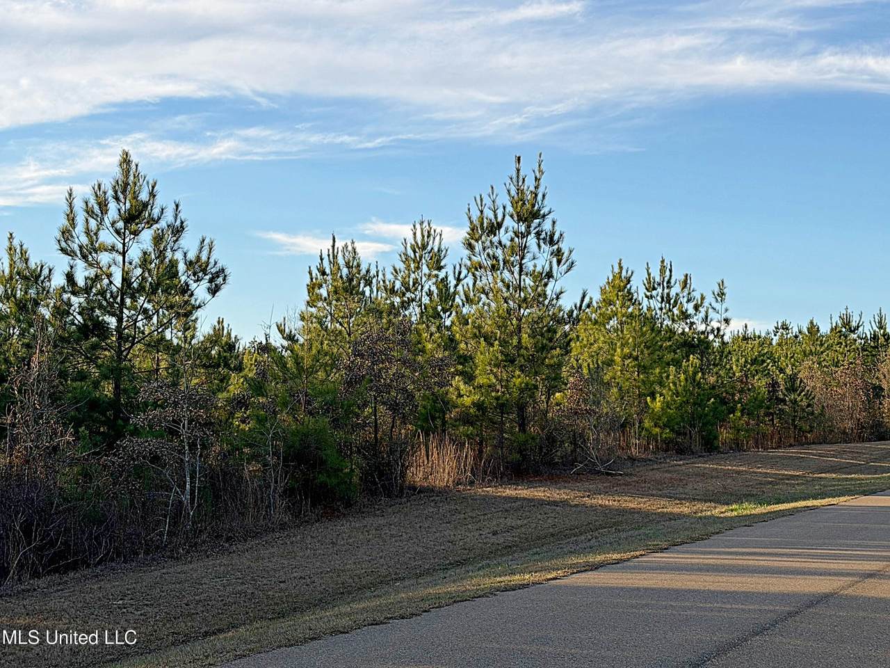0 Airport Road - Photo 1