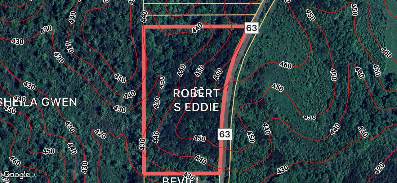  County Road 63 - Photo 1