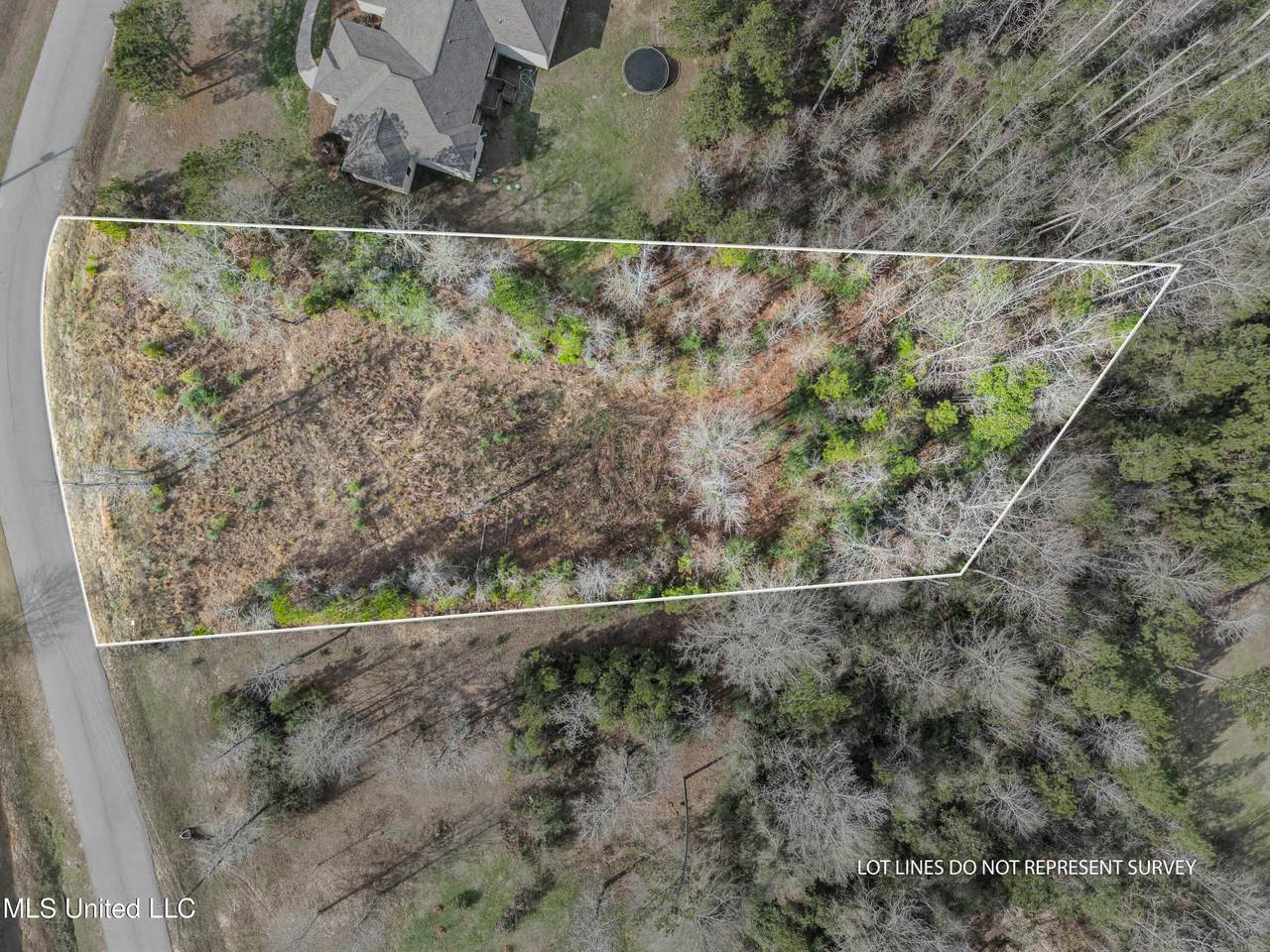 10 Crossbuck Road - Photo 1