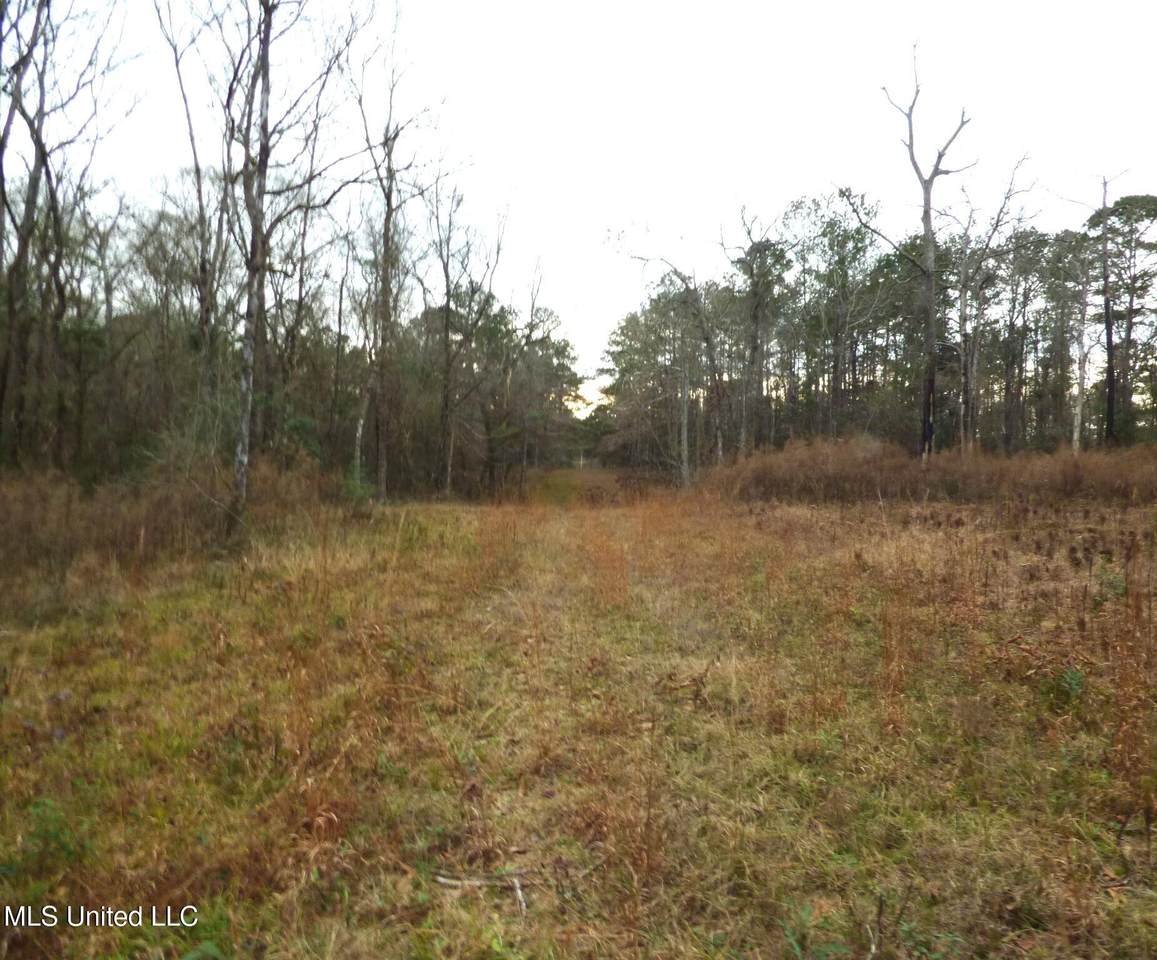 1022 Mallette Circle - Photo 1