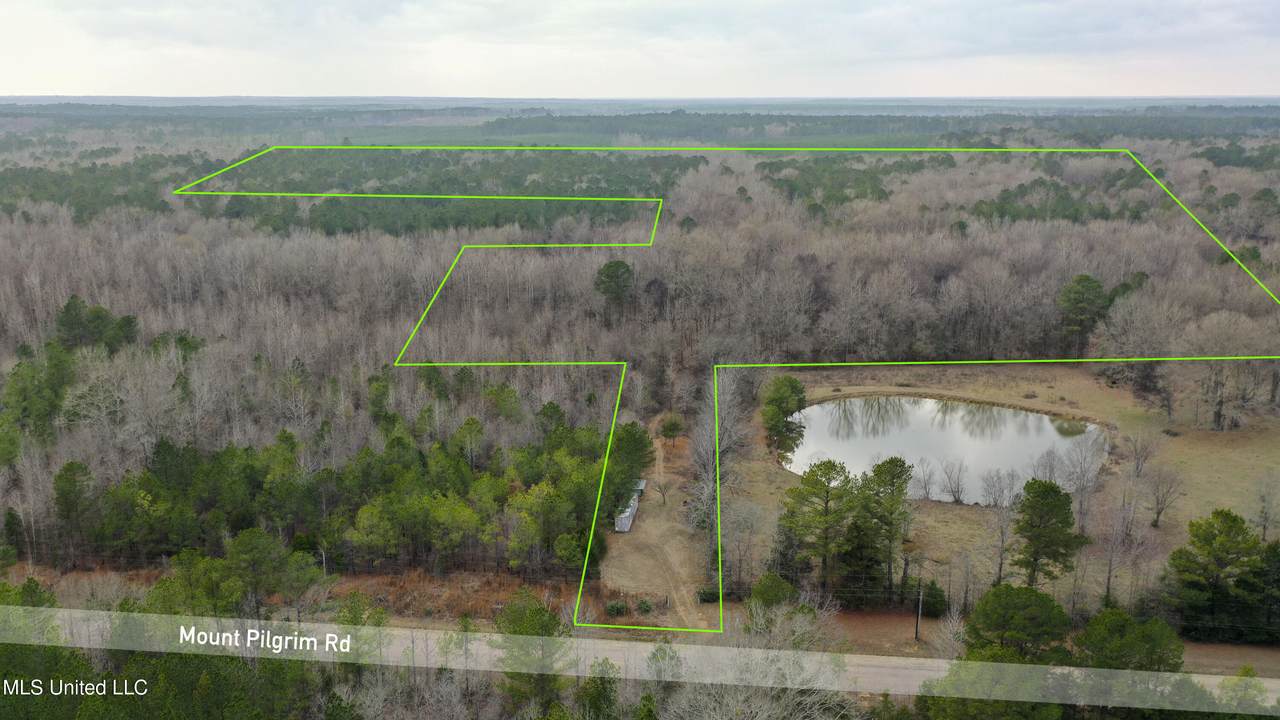  Mount Pilgrim Road - Photo 1