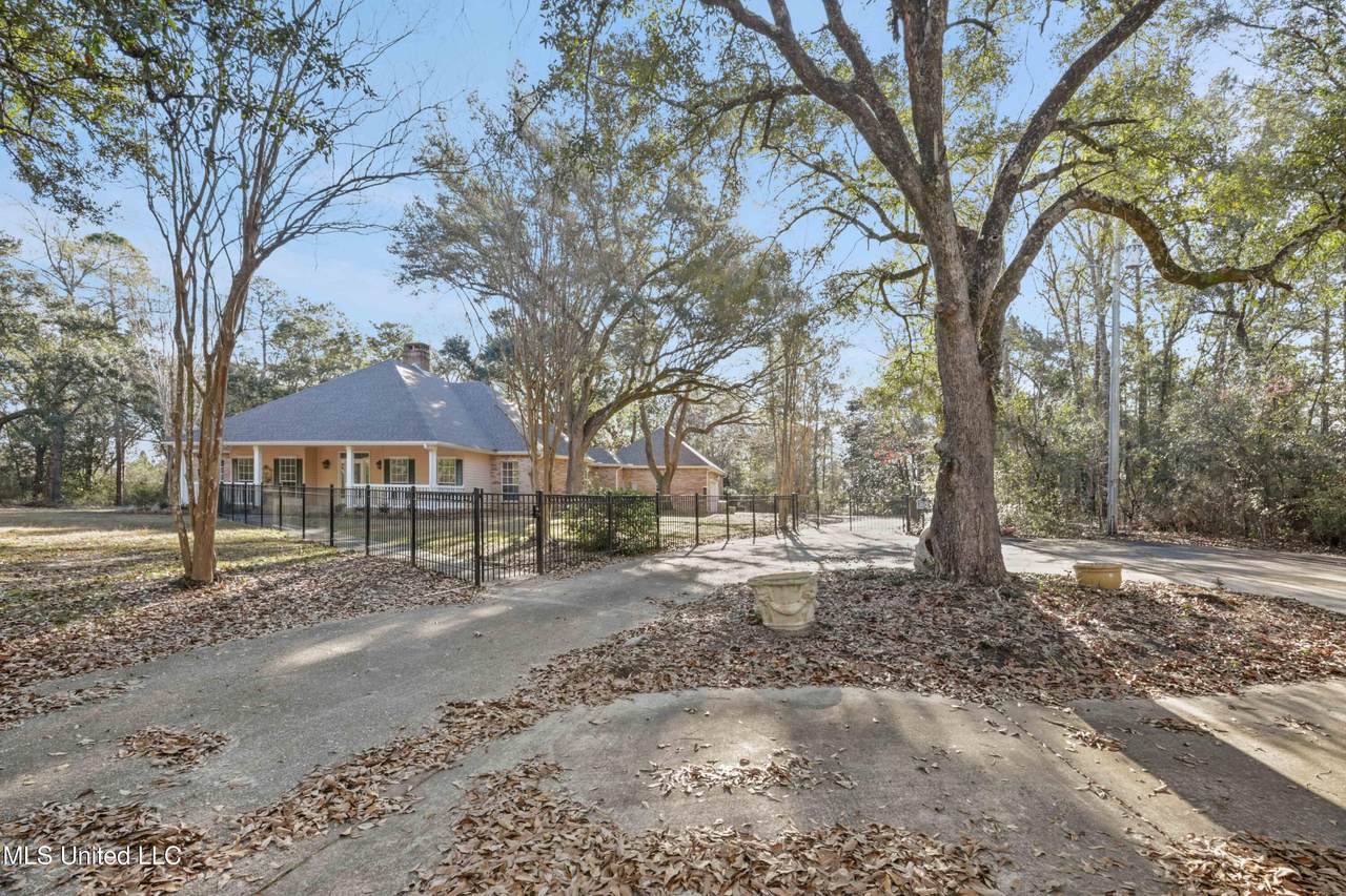 29109 Dubuisson Road - Photo 1