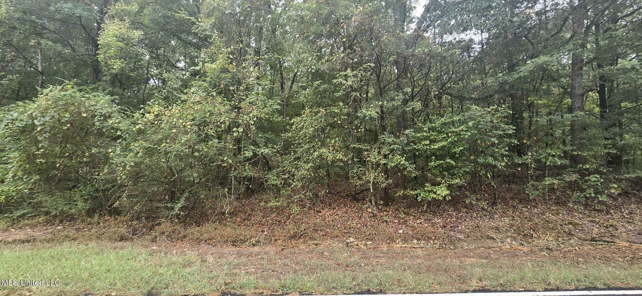  Woolsey Road - Photo 1