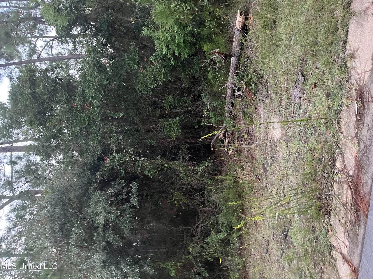 0 Greenwood Drive - Photo 1