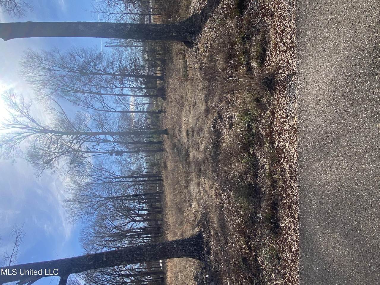  Nash Drive - Photo 1