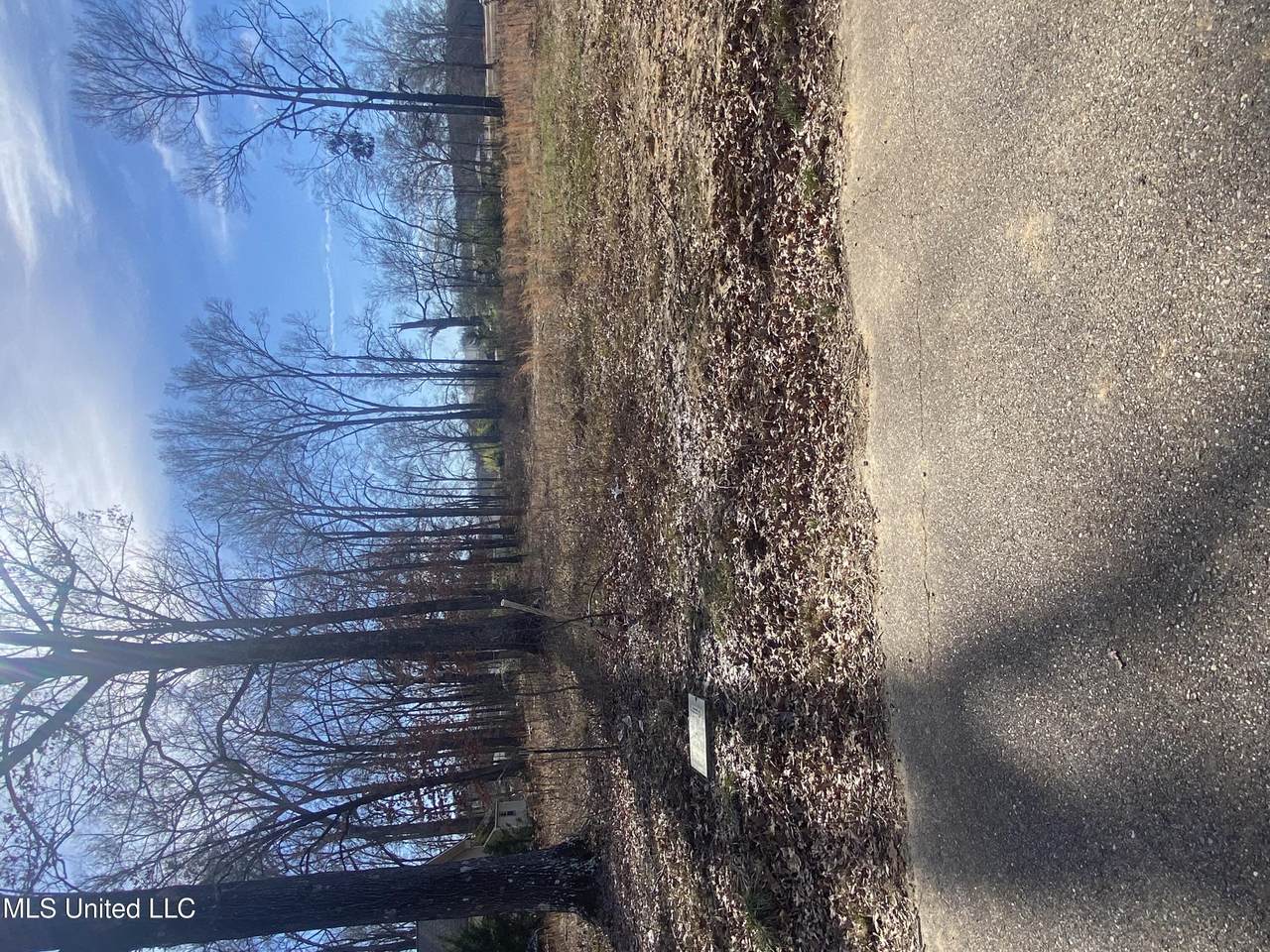  Nash Drive - Photo 1