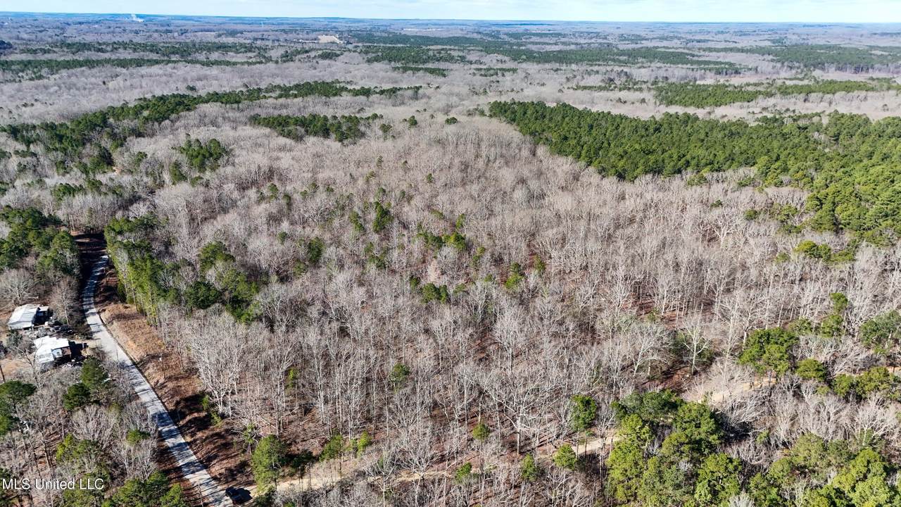 0 Tall Pines Road - Photo 1