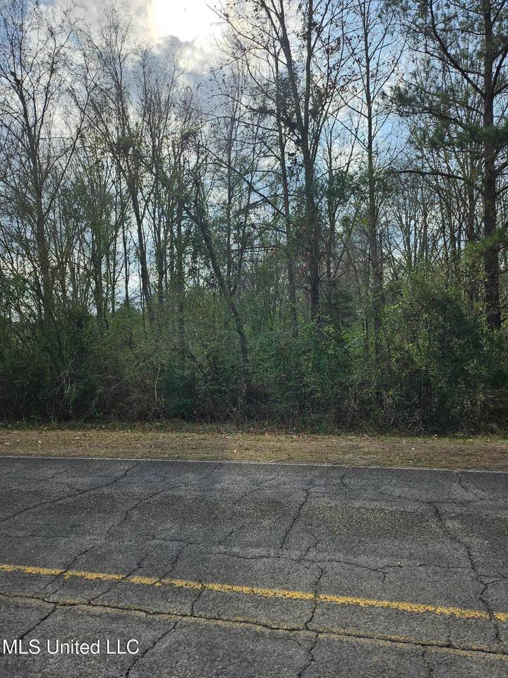 000 Quinlivan Road - Photo 1