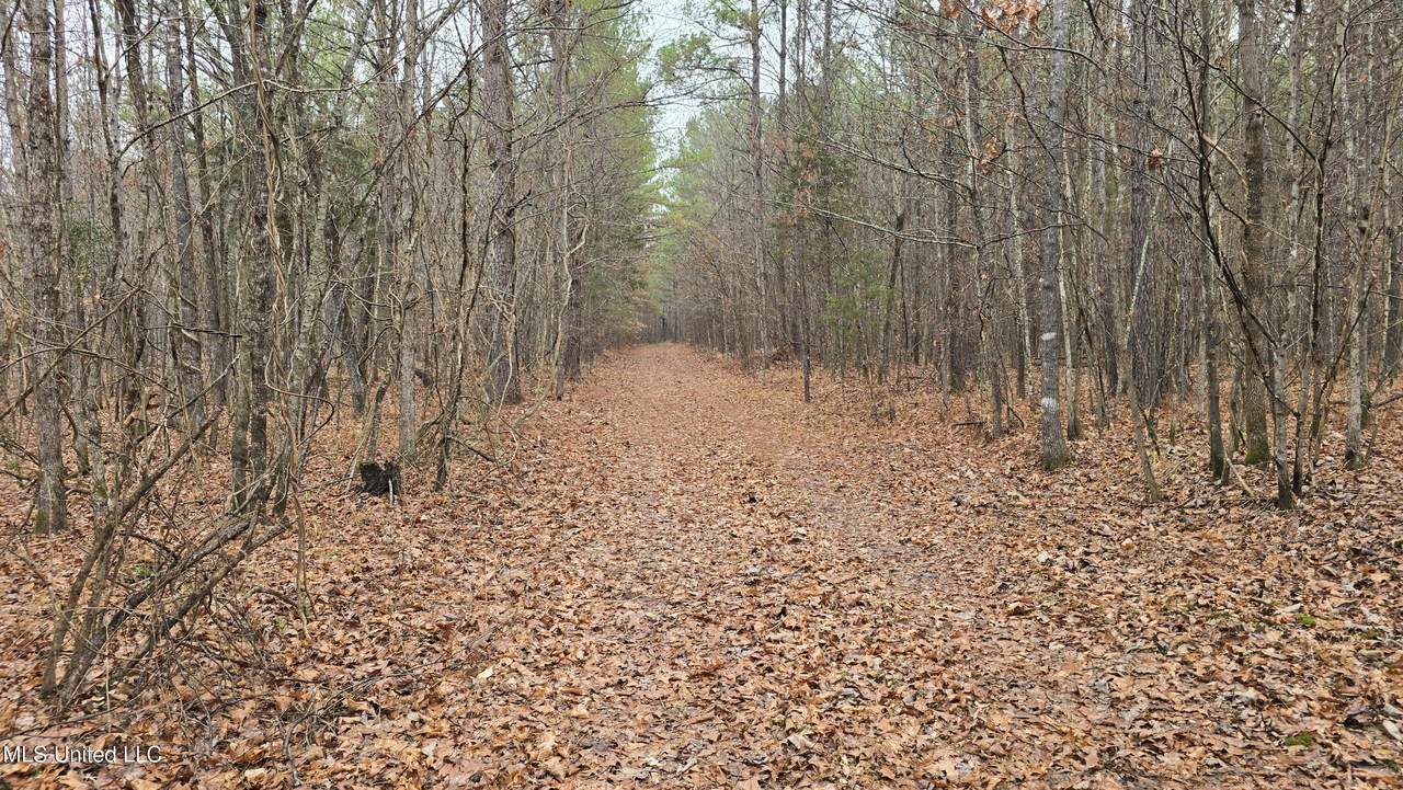  Brown Road - Photo 1