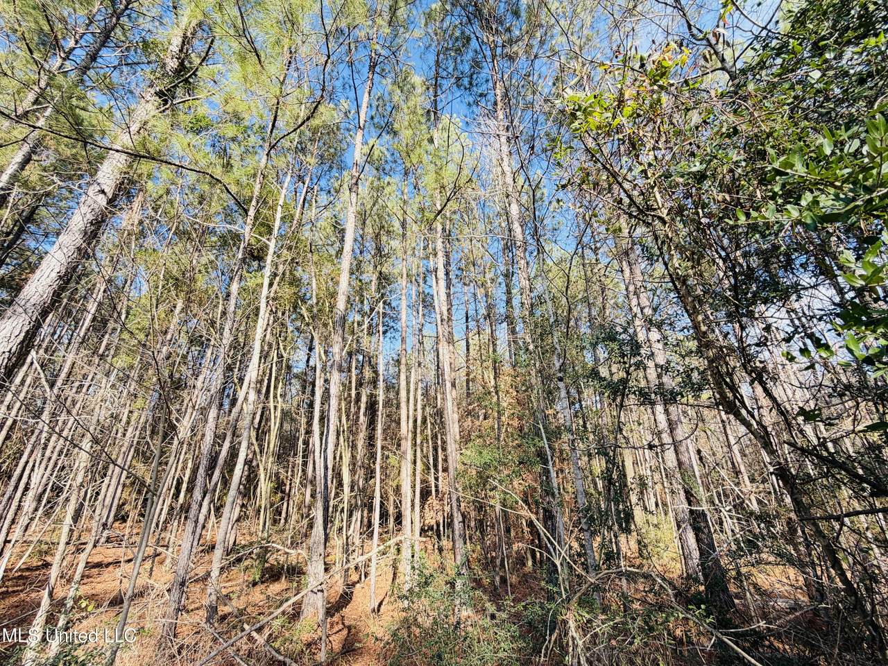  Mallard Trail - Photo 1