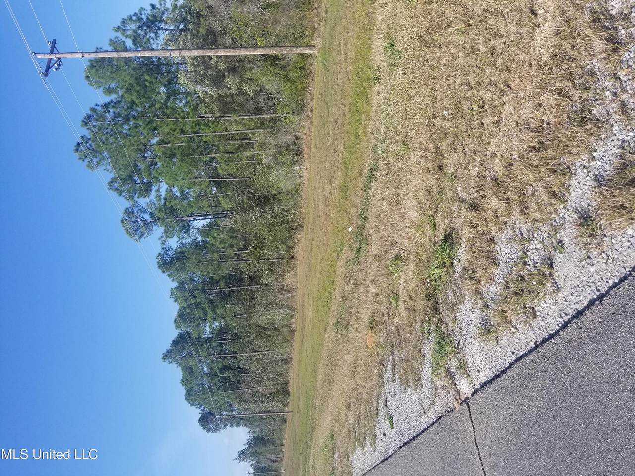 6100 Hwy 57 Highway - Photo 1