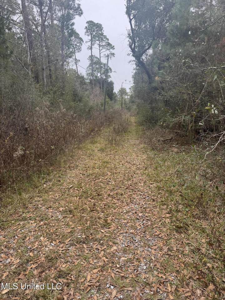 121 Pinecone Street - Photo 1