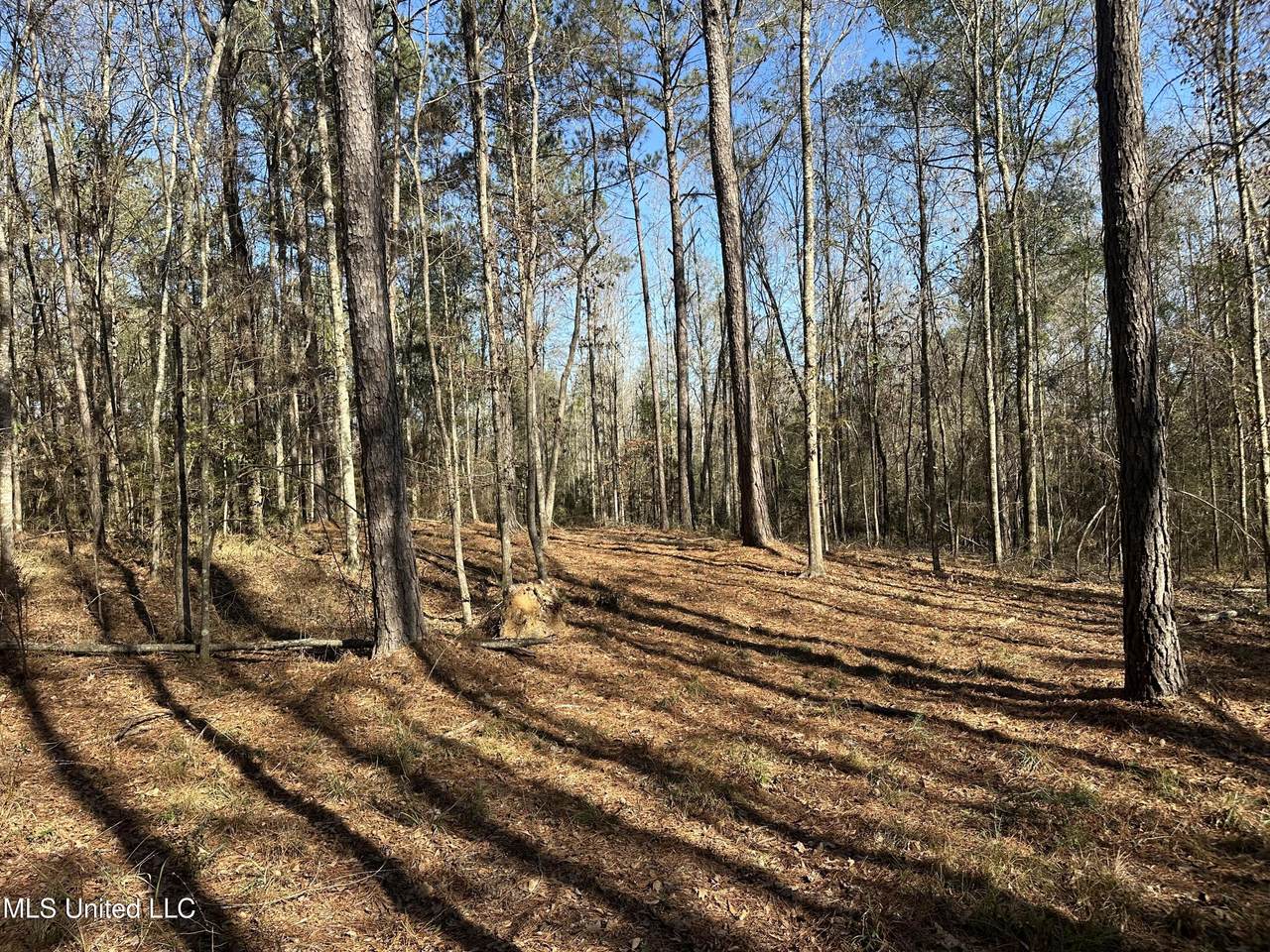 0000 Crooked Creek Road - Photo 1