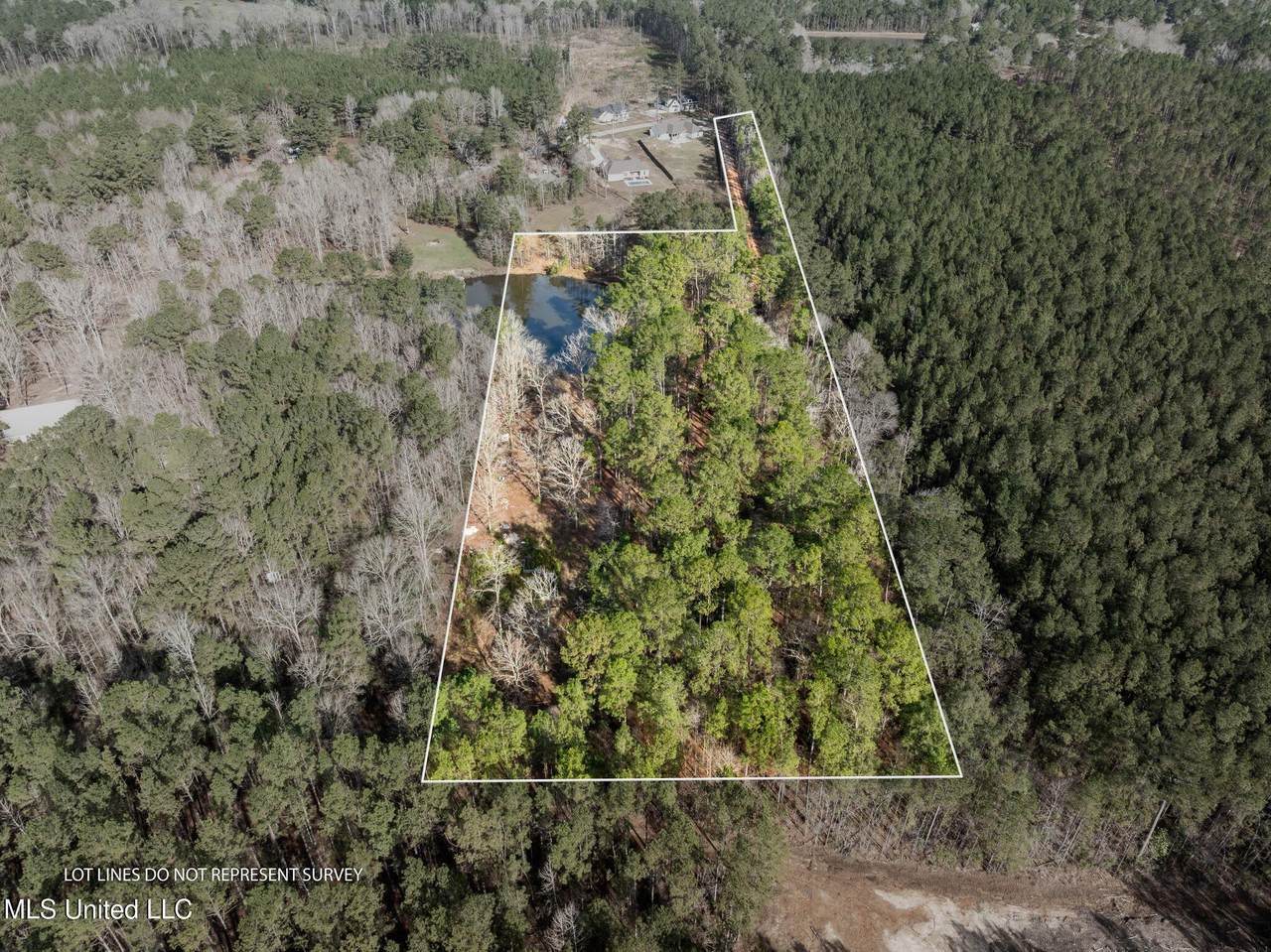 6.45 Acres Todd Road - Photo 1