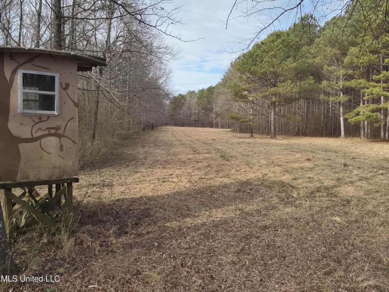 1356 Harrell Road Road - Photo 1