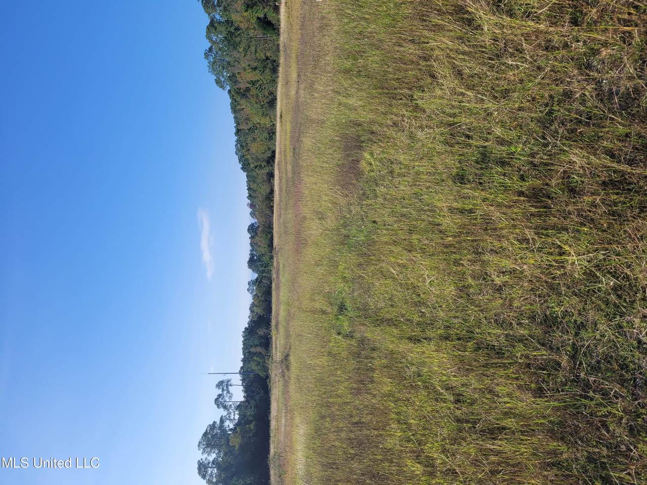 0 54th Avenue - Photo 1