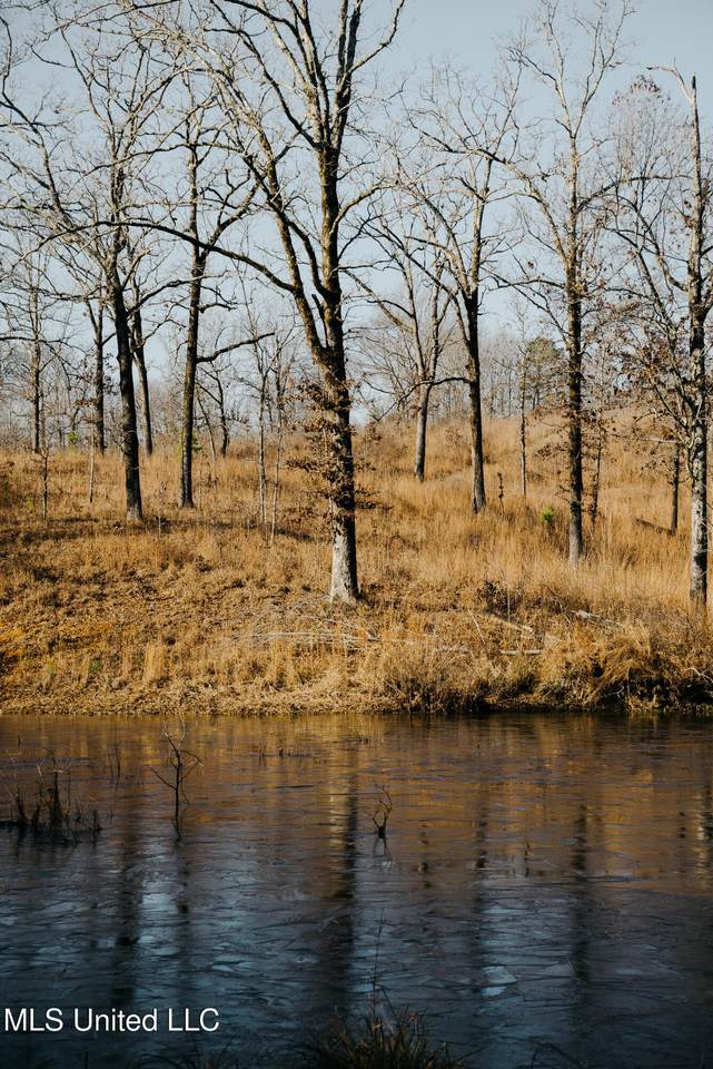  County Road 70 - Photo 1