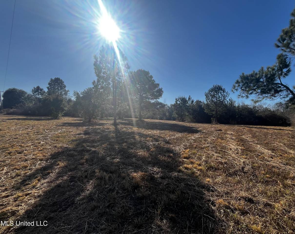 0 Hwy 613 - Photo 1