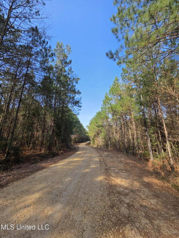 0 Wildwood Trail - Photo 1