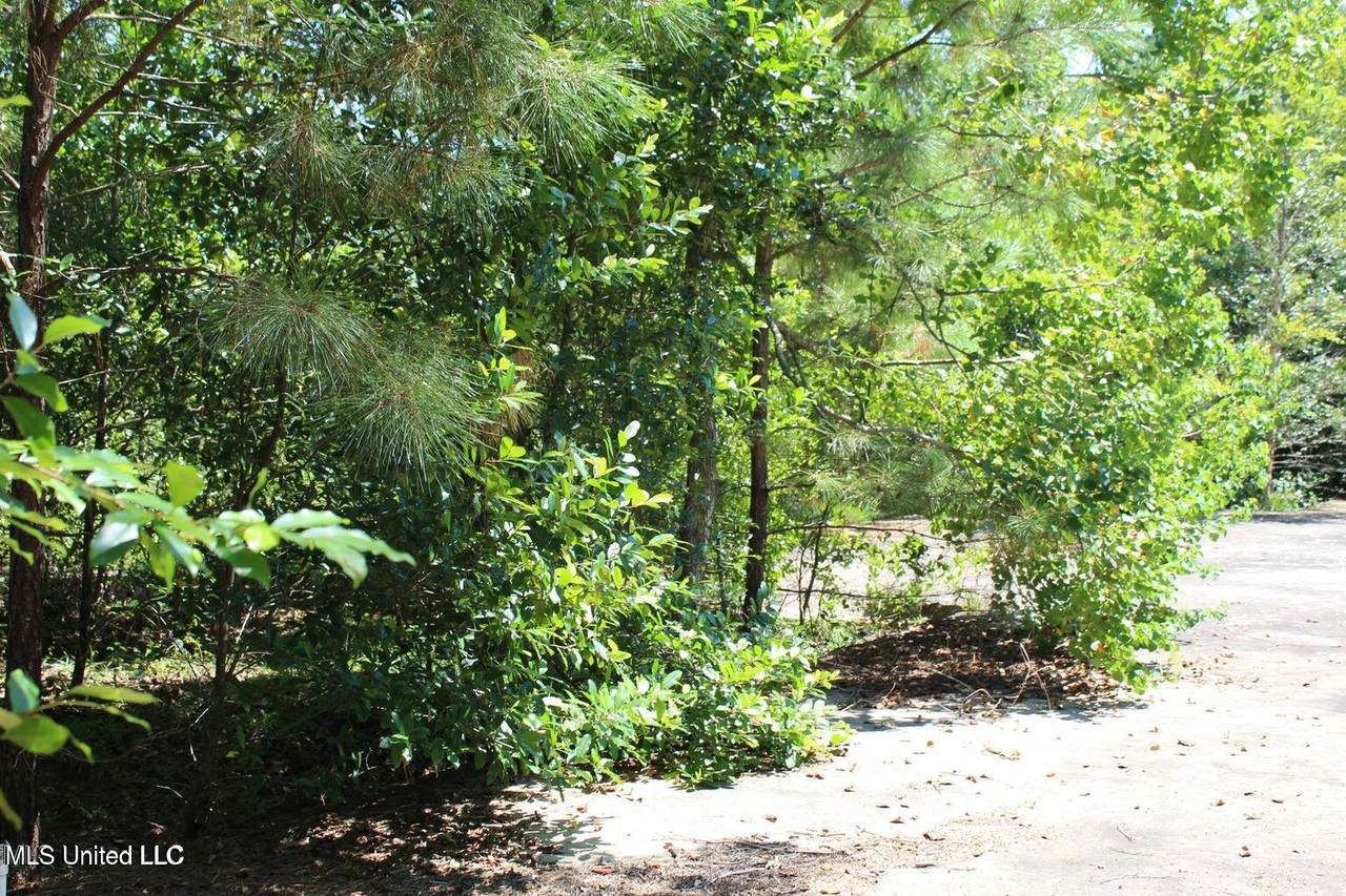 15.4 Acres Lloyd Eubanks Road - Photo 1