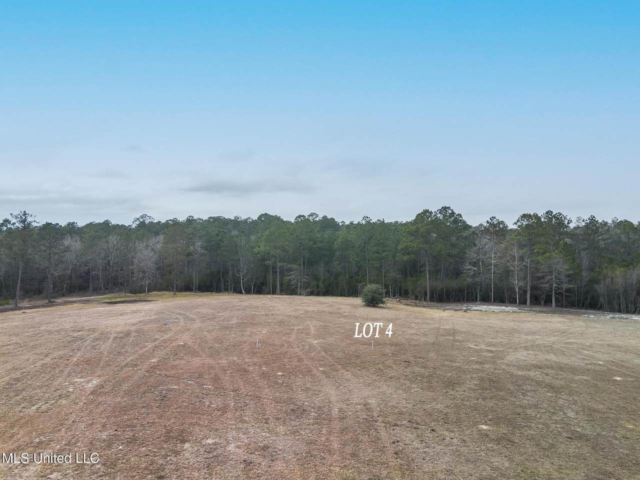 Lot 4 Kahler Lane - Photo 1