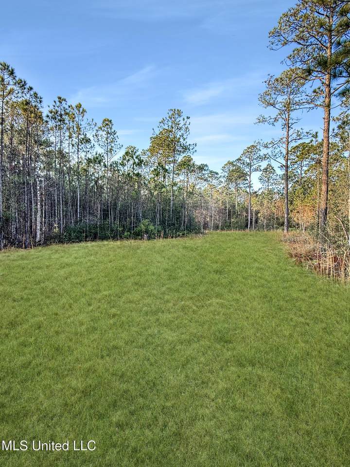 000 Juniper/Kingswood - Photo 1