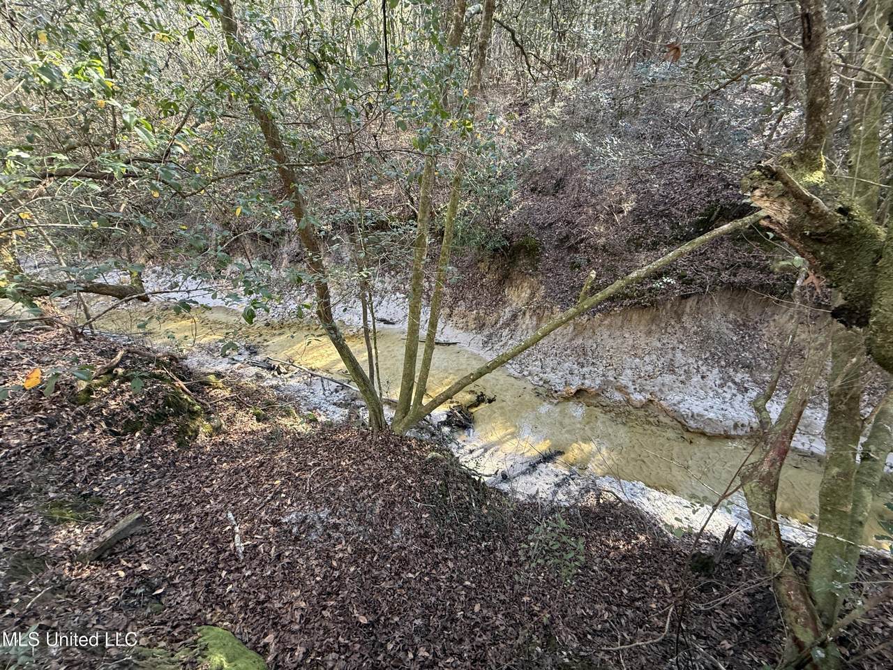38 Ac +/- Indian Hill Road - Photo 1