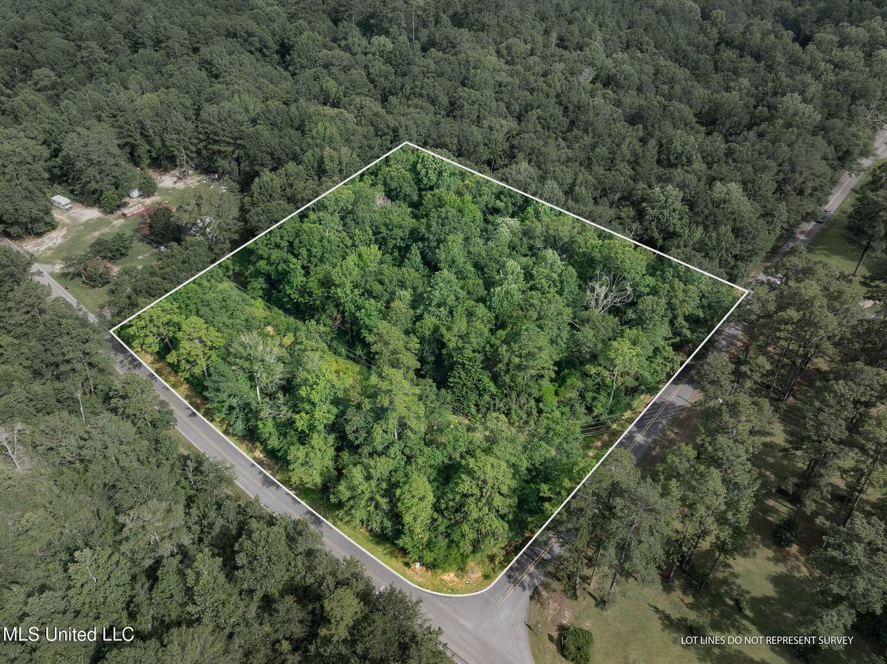 Lot 1 (3.36 Acres) Beverly Hills Drive - Photo 1