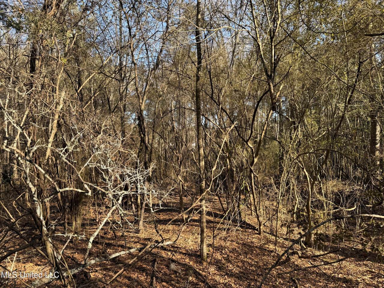 https://bt-photos.global.ssl.fastly.net/united/1280_boomver_2_4138311-2.jpg