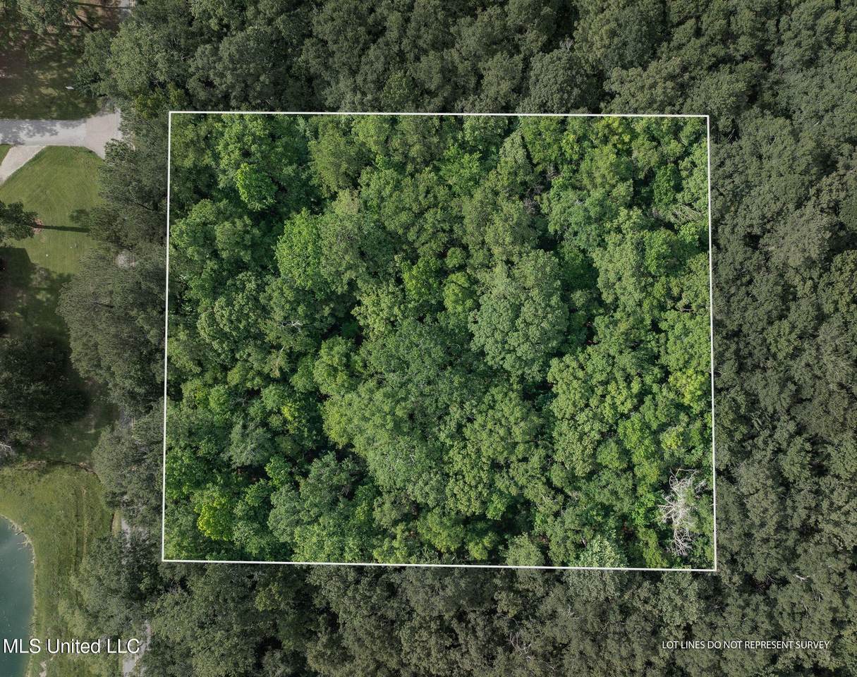 Lot 2 (3.86 Acres) Beverly Hills Drive - Photo 1