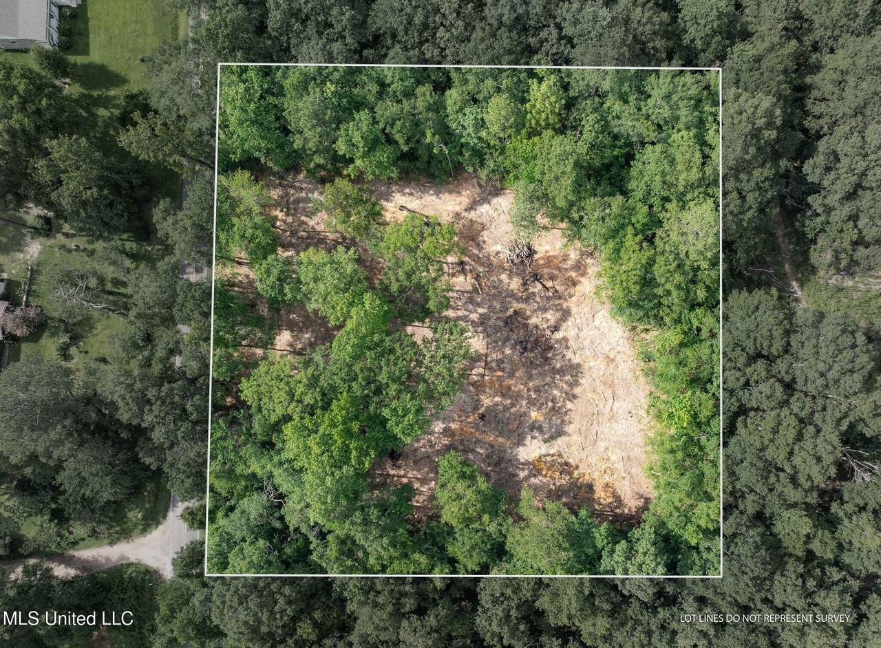 Lot 4 (3.86 Acres) Beverly Hills Drive - Photo 1