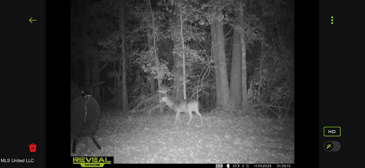 0 Morton-Rankin County Line Road - Photo 1