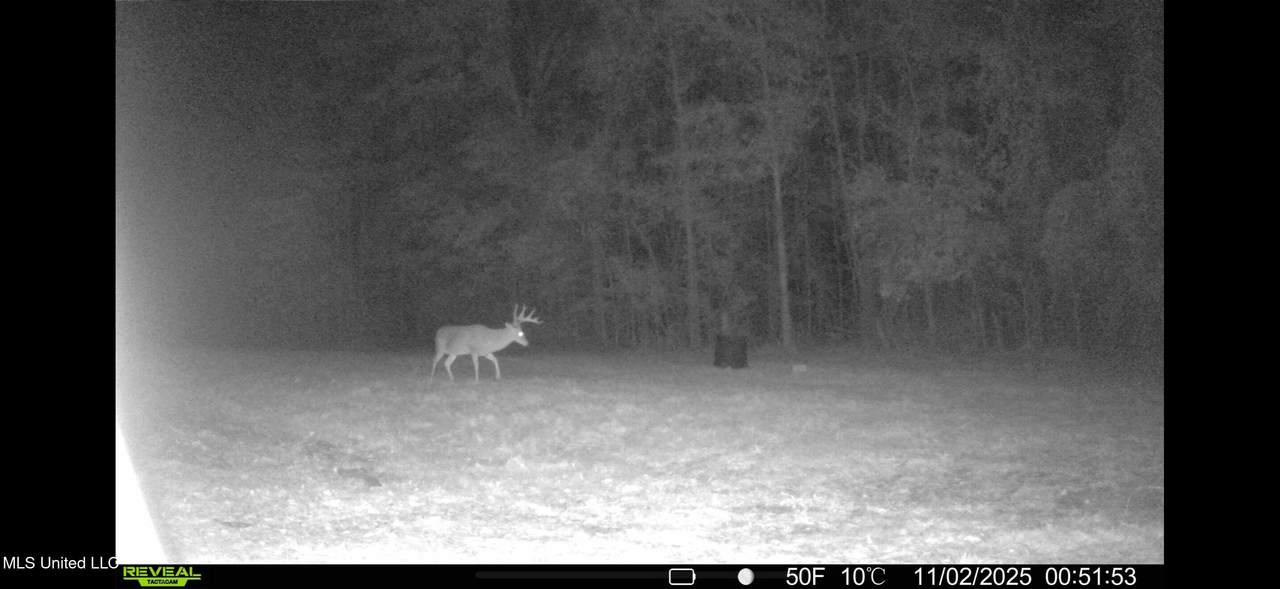 https://bt-photos.global.ssl.fastly.net/united/1280_boomver_1_4138490-2.jpg