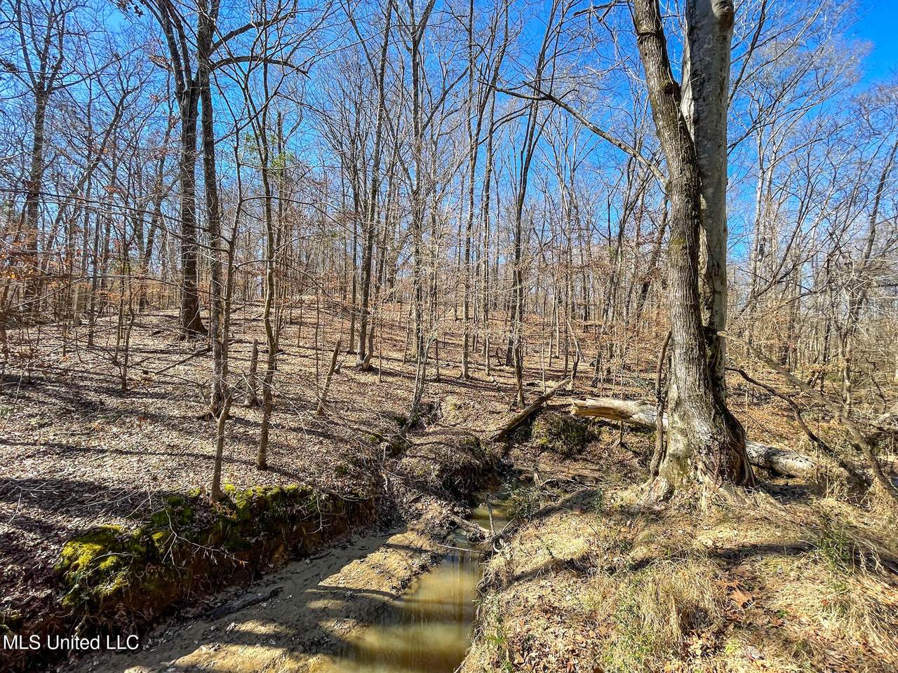 001 Robinson Springs Road - Photo 1
