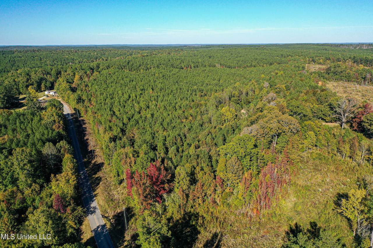 01 Mississippi 331 - Photo 1