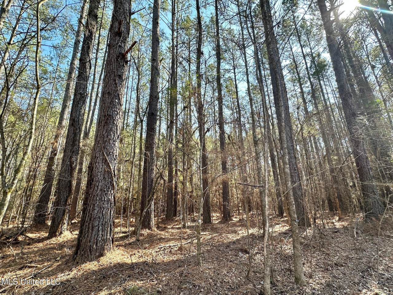 7 Cut Off Road - Photo 1