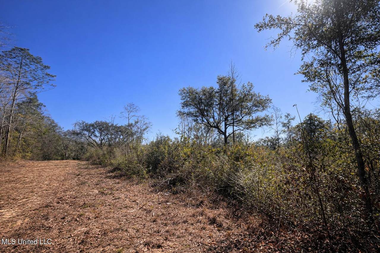 3 Standard Cemetery Road - Photo 1