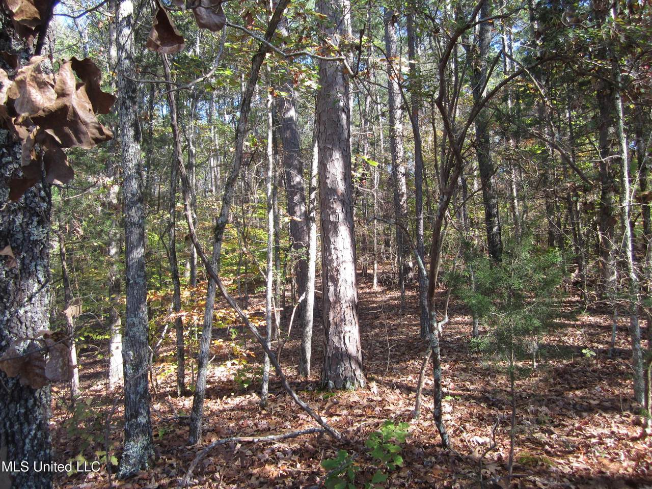 https://bt-photos.global.ssl.fastly.net/united/1280_boomver_1_4139122-2.jpg