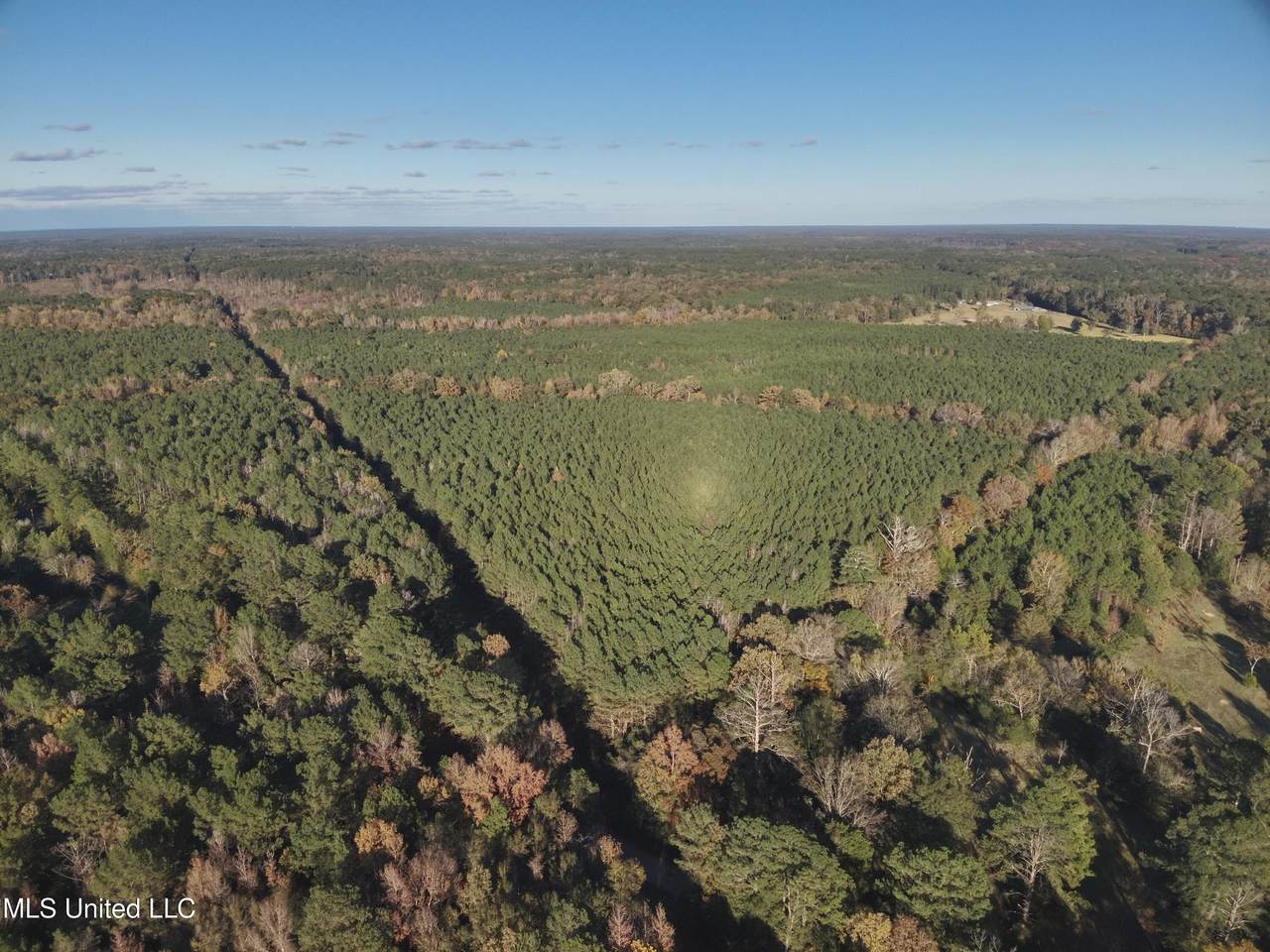  Lot 1 Whiddon Road - Photo 1