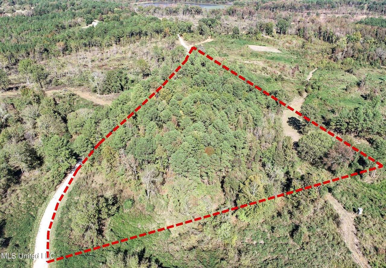 645 County Road 239 - Photo 1
