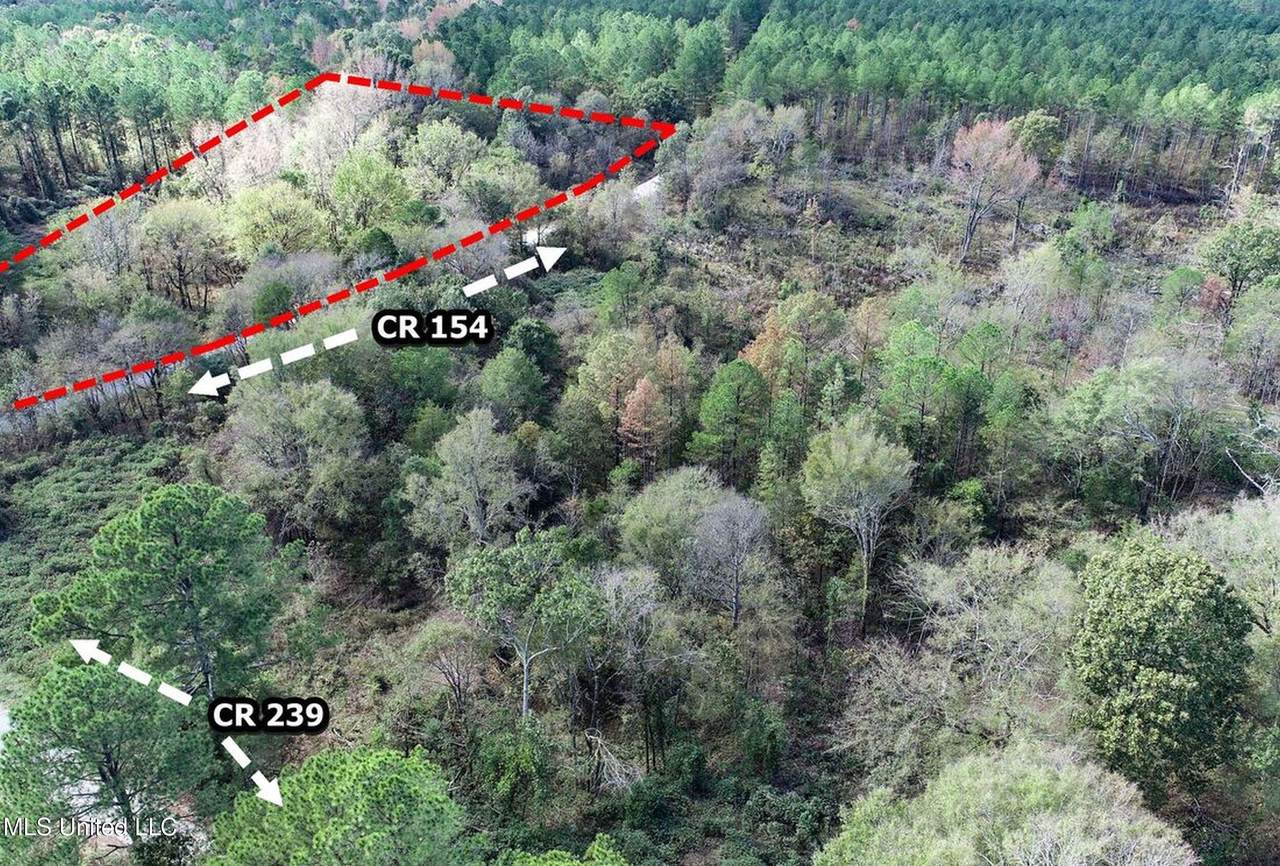 Tbd County Road 154 - Photo 1