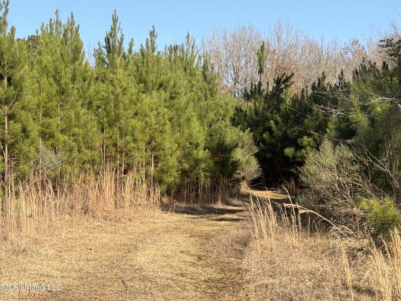 https://bt-photos.global.ssl.fastly.net/united/1280_boomver_1_4139370-2.jpg