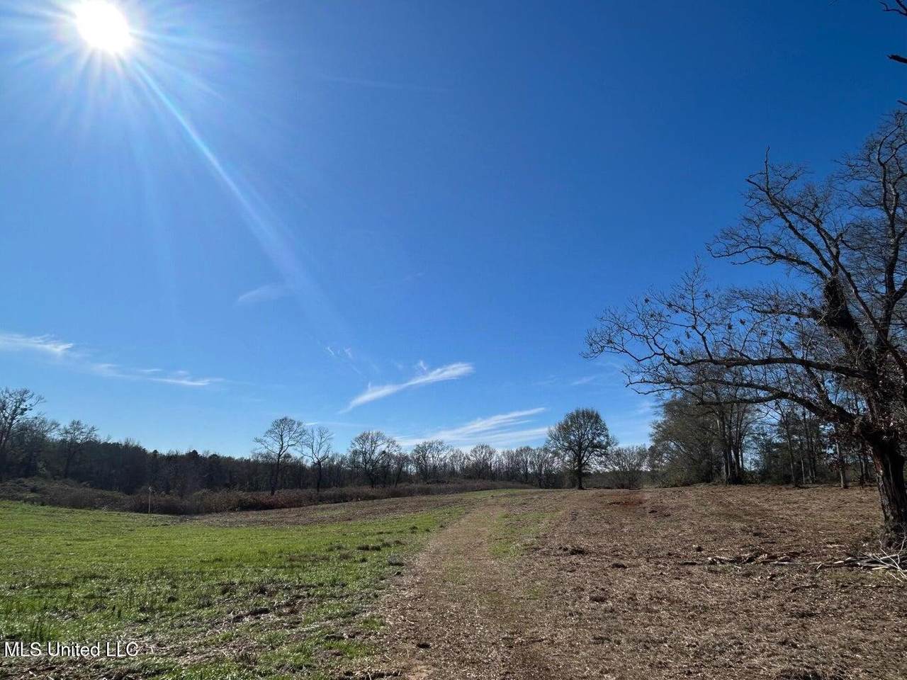 00 Biltmore Road - Photo 1
