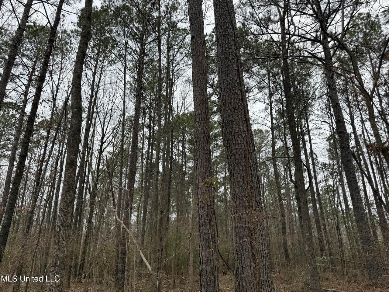  Mount Elam Church Road - Photo 1