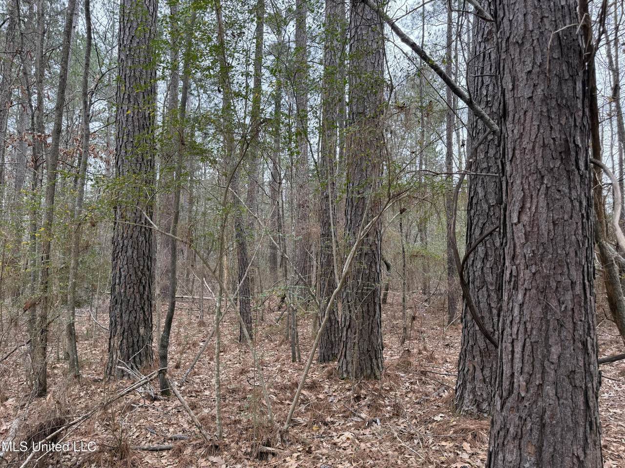 https://bt-photos.global.ssl.fastly.net/united/1280_boomver_1_4139474-2.jpg