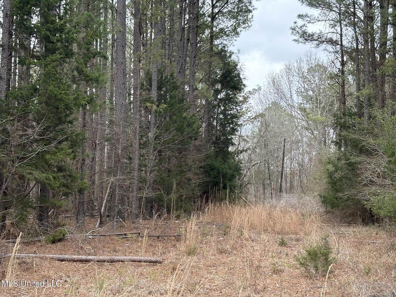  County Road 2211 - Photo 1