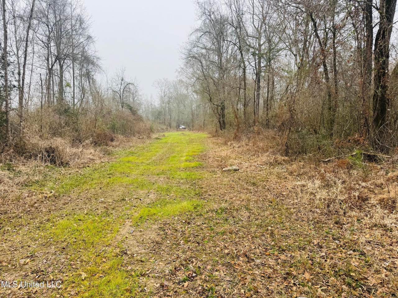  Sidney Ellzey Road - Photo 1