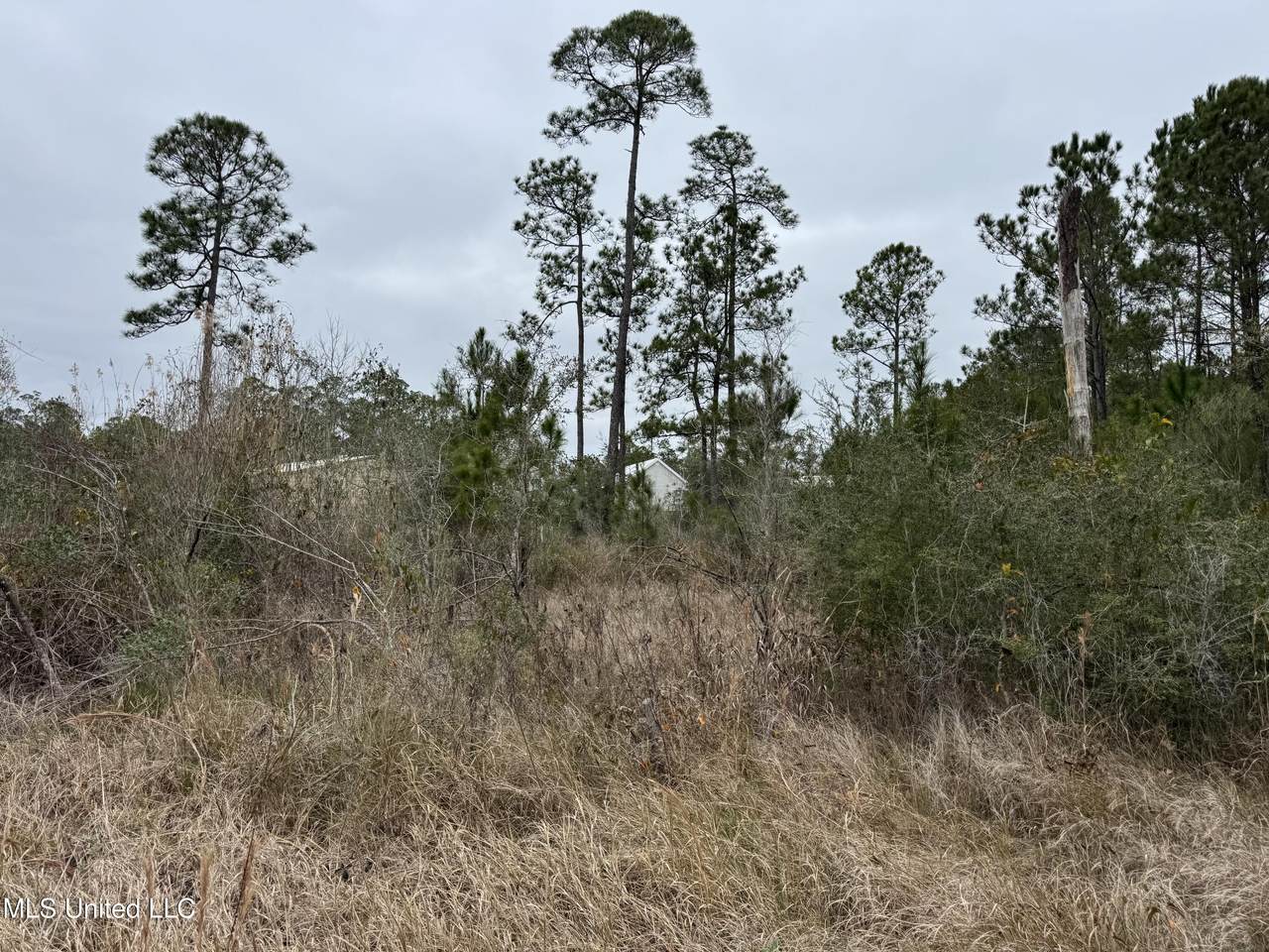  0 Cooper St/ River Dr - Photo 1