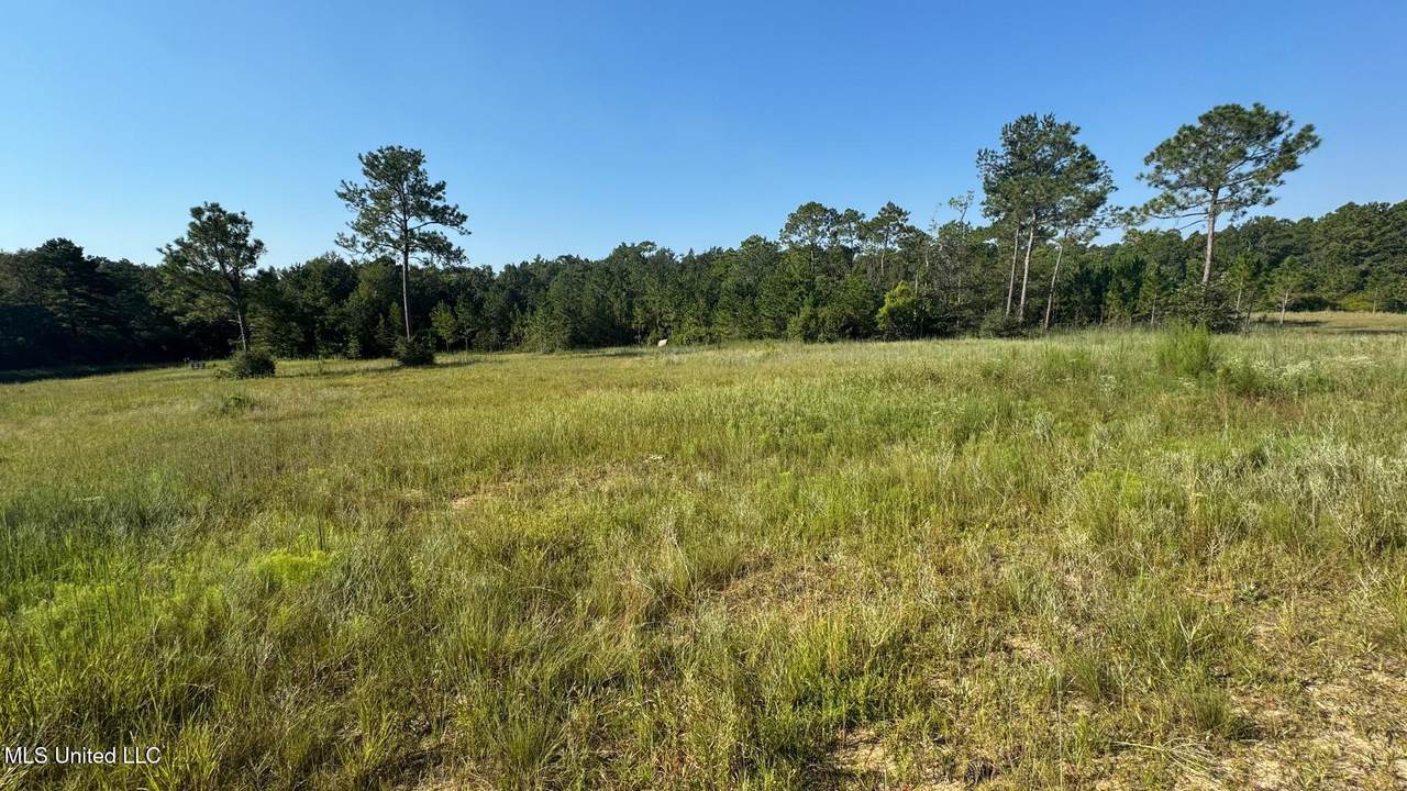 0 Wolf River Road - Photo 1